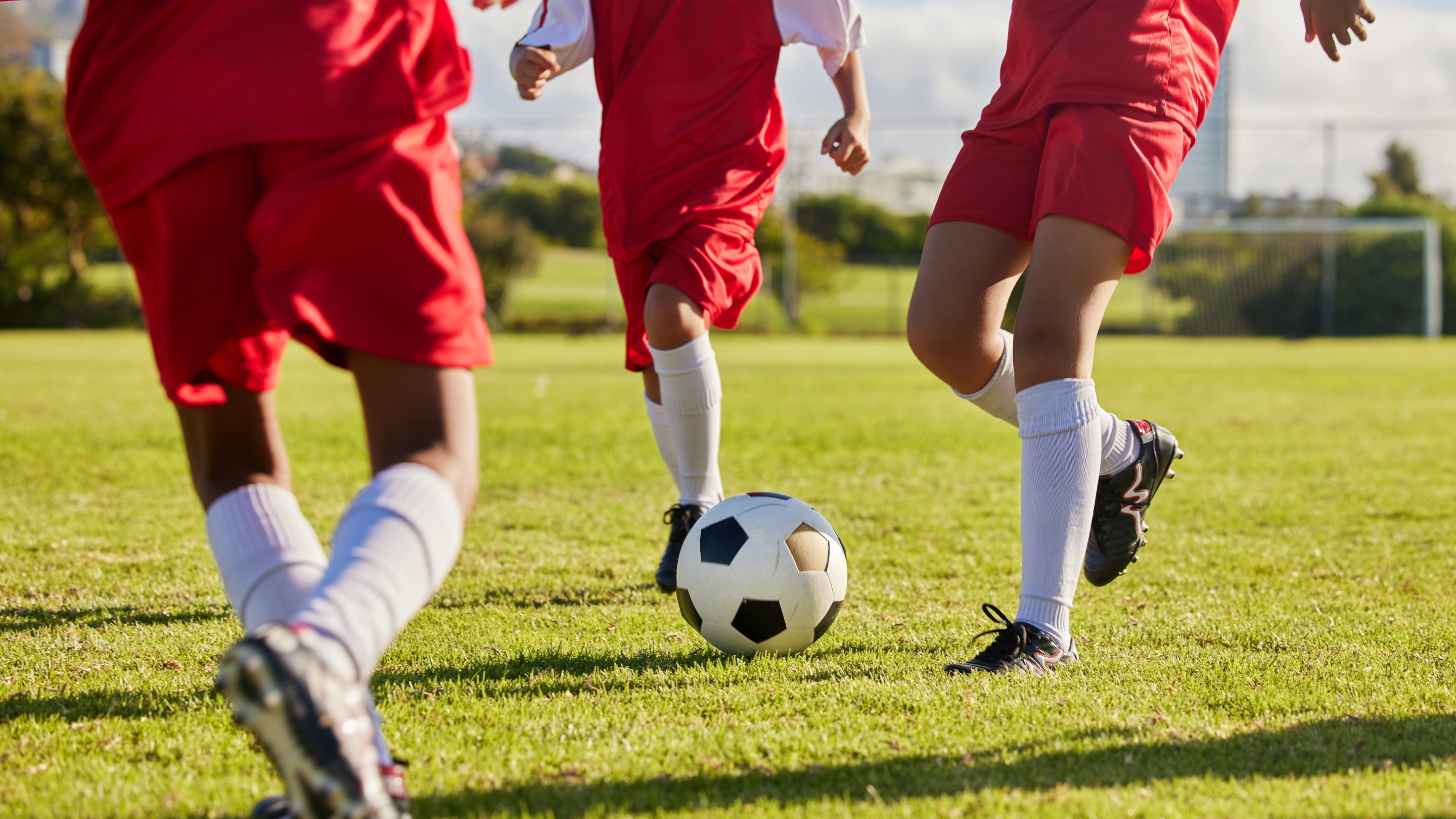 Seven-a-side football image