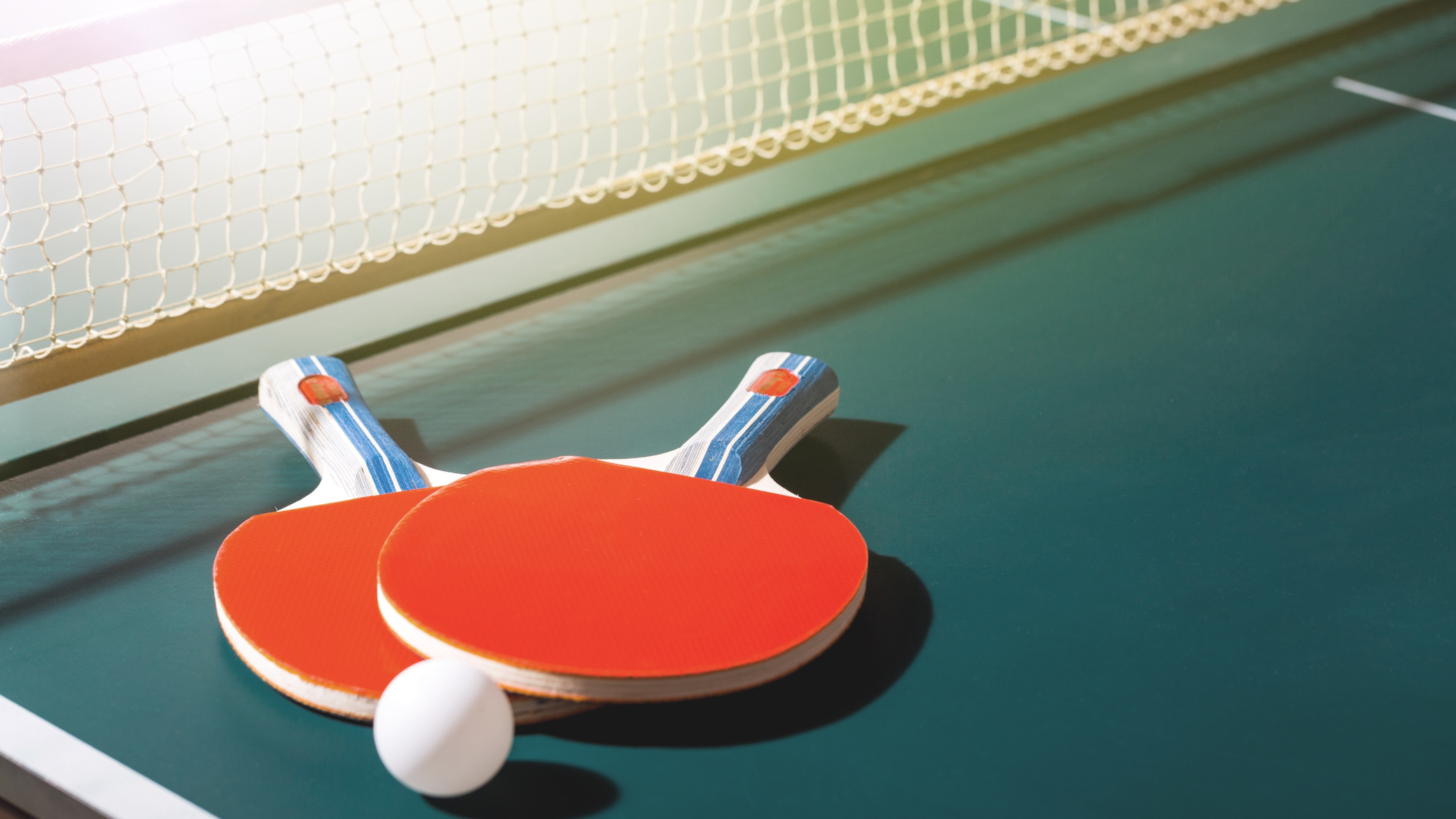 Tennis Table image