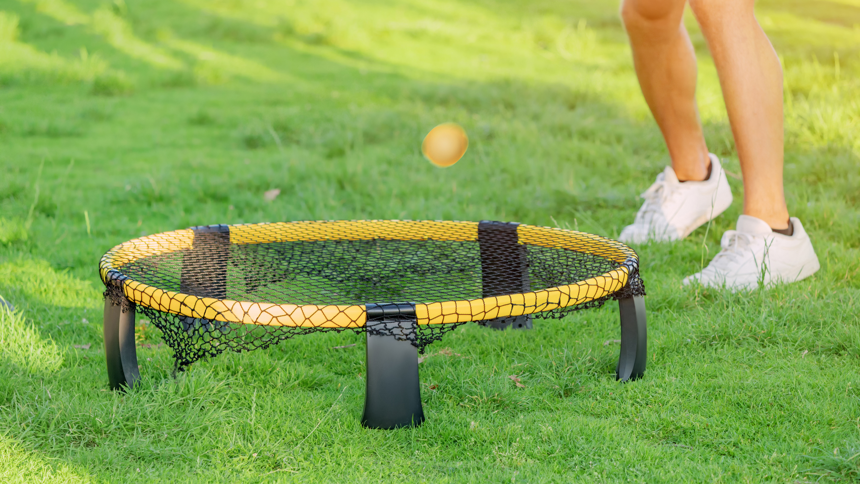 Spikeball image